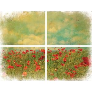 Belles and Whistles Field of Flowers Transzfer 61 x 81 cm (4 lapból áll)